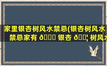 家里银杏树风水禁忌(银杏树风水禁忌家有 🐘 银杏 🐦 树风水好吗)
